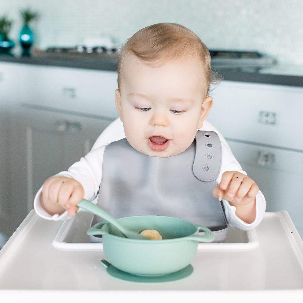 Foodie® Bowl with Lid + Spoon: Sage