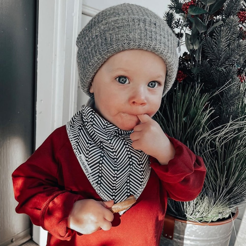 Dakota Organic Bandana Bib 4-Pack